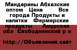 Мандарины Абхазские оптом › Цена ­ 19 - Все города Продукты и напитки » Фермерские продукты   . Амурская обл.,Свободненский р-н